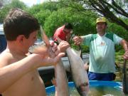 Feira_do_peixe_vivo_realizada_no_dia_19_de_marco